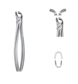 Davier Anatomica - Mandibulaire