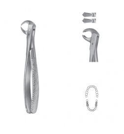 Davier Anatomica - Mandibulaire
