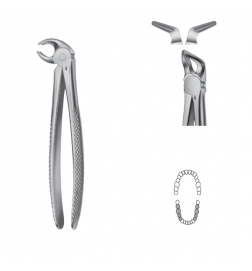 Davier Anatomica - Mandibulaire