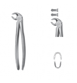 Davier Anatomica - Mandibulaire