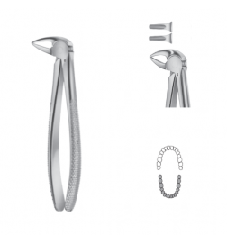 Davier Anatomica - Mandibulaire