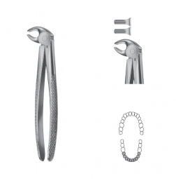 Davier Anatomica - Mandibulaire