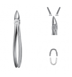 Davier Anatomica - Maxillaire
