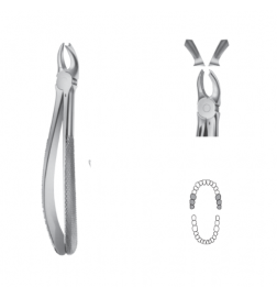 Davier Anatomica - Maxillaire