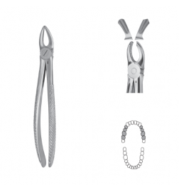 Davier Anatomica - Maxillaire