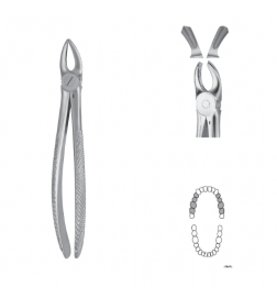 Davier Anatomica - Maxillaire