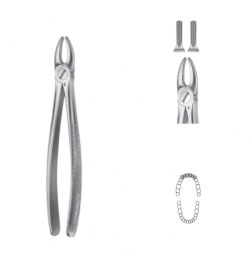 Davier Anatomica - Maxillaire