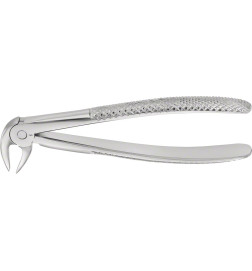 Davier Anatomica Buechs