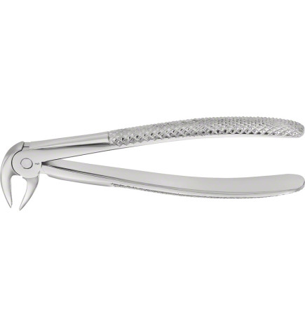 Davier Anatomica Buechs